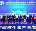 开幕丨2020中国维生素产业发展高层论坛召开